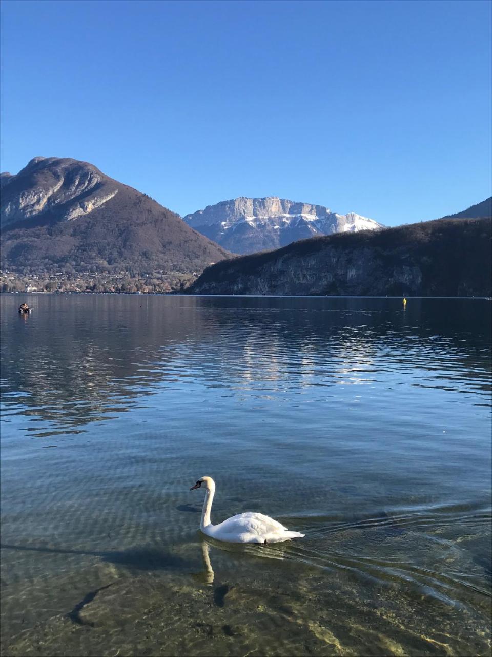 La Maison Du Port, Une Exclusivite Lla Selections By Location Lac Annecy Saint-Jorioz Eksteriør bilde